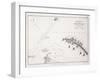 Plan of the Battle of the Nile, 1st August 1798, C.1830S (Engraving)-Alexander Keith Johnston-Framed Giclee Print