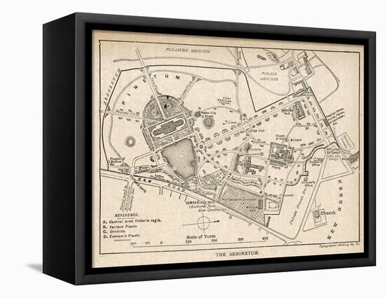 Plan of the Botanical Gardens-null-Framed Stretched Canvas