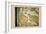 Plan of the City of New York-Bernard Ratzer-Framed Premium Giclee Print