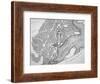 Plan of the City of Washington as Originally Laid Out in 1793-null-Framed Giclee Print