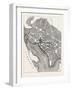 Plan of the City of Washington-null-Framed Giclee Print