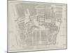 Plan of the Palatine Hill, Rome-null-Mounted Giclee Print