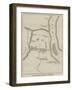 Plan of the Rangariri District, New Zealand-null-Framed Giclee Print