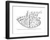 Plan of the Town of Acre, Palestine, 14th Century-null-Framed Giclee Print