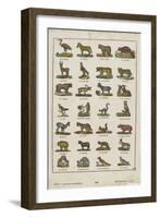 Planche animalière-null-Framed Giclee Print