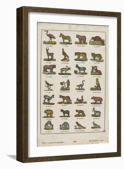 Planche animalière-null-Framed Giclee Print