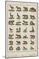 Planche animalière-null-Mounted Giclee Print