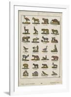 Planche animalière-null-Framed Giclee Print
