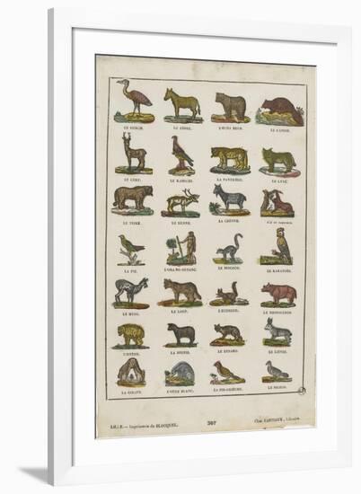 Planche animalière-null-Framed Giclee Print