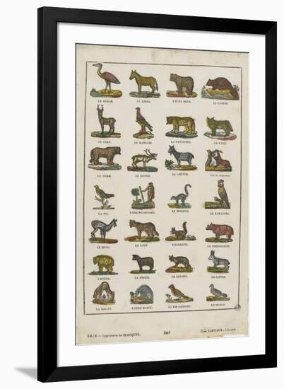 Planche animalière-null-Framed Giclee Print