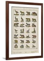 Planche animalière-null-Framed Giclee Print