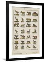 Planche animalière-null-Framed Giclee Print