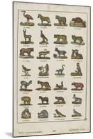 Planche animalière-null-Mounted Giclee Print