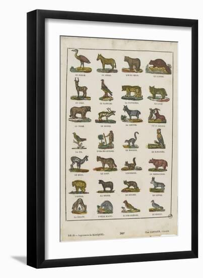 Planche animalière-null-Framed Premium Giclee Print
