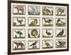 Planche d'animaux-null-Framed Giclee Print