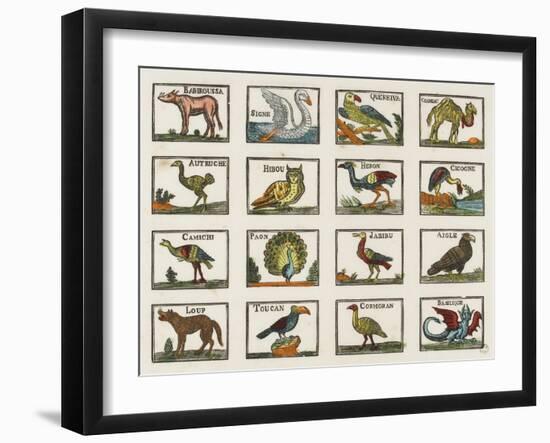 Planche d'animaux-null-Framed Giclee Print