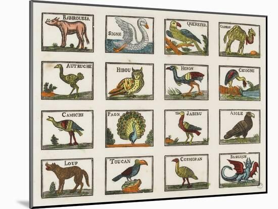 Planche d'animaux-null-Mounted Giclee Print