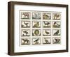 Planche d'animaux-null-Framed Giclee Print