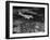 Plane Flying over a City from a Story Concerning United Airlines-Carl Mydans-Framed Photographic Print