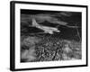 Plane Flying over a City from a Story Concerning United Airlines-Carl Mydans-Framed Photographic Print