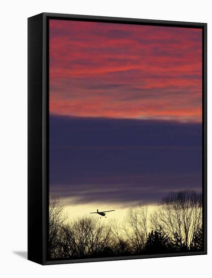 Plane is Seen over the Tree Tops While on its Approach for Landing, a Little Past Sun Down-null-Framed Stretched Canvas