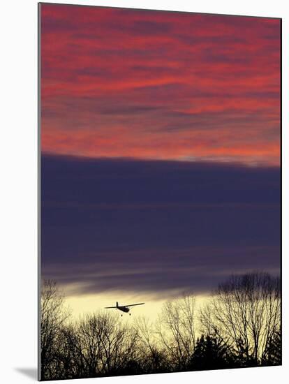 Plane is Seen over the Tree Tops While on its Approach for Landing, a Little Past Sun Down-null-Mounted Photographic Print