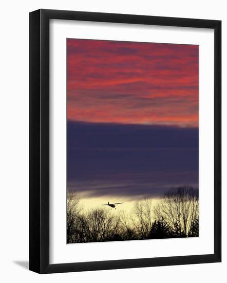 Plane is Seen over the Tree Tops While on its Approach for Landing, a Little Past Sun Down-null-Framed Photographic Print