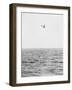 Plane Looking for Submarines-null-Framed Photographic Print