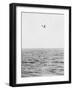 Plane Looking for Submarines-null-Framed Photographic Print