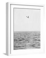 Plane Looking for Submarines-null-Framed Photographic Print