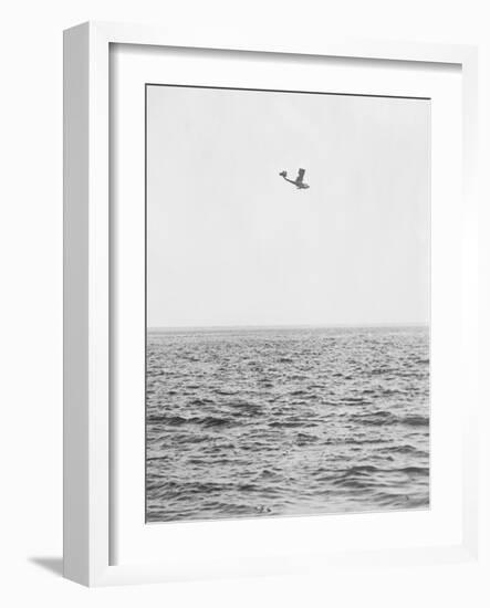 Plane Looking for Submarines-null-Framed Photographic Print