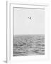 Plane Looking for Submarines-null-Framed Photographic Print