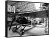 Plane of Storks Squadron, France, 1st World War-null-Framed Stretched Canvas