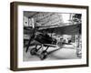 Plane of Storks Squadron, France, 1st World War-null-Framed Photo