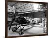 Plane of Storks Squadron, France, 1st World War-null-Framed Photo