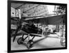 Plane of Storks Squadron, France, 1st World War-null-Framed Photo