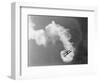 Plane Producing Dense Smoke-null-Framed Photographic Print