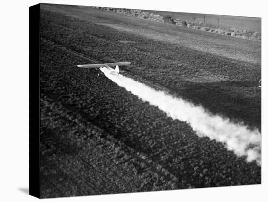 Plane Spraying Alfalfa Fields in Imperial Valley with Ddt-Loomis Dean-Stretched Canvas