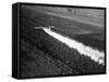 Plane Spraying Alfalfa Fields in Imperial Valley with Ddt-Loomis Dean-Framed Stretched Canvas