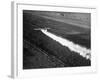 Plane Spraying Alfalfa Fields in Imperial Valley with Ddt-Loomis Dean-Framed Photographic Print