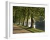 Plane Trees Beside the River Saone Near Macon, Saone Et Loire, Burgundy, France-Michael Busselle-Framed Photographic Print