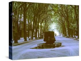 Plane Trees Shade Wide Boulevard of Cours Mirabeau in Aix En Provence-Gjon Mili-Stretched Canvas