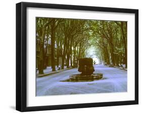 Plane Trees Shade Wide Boulevard of Cours Mirabeau in Aix En Provence-Gjon Mili-Framed Photographic Print