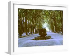 Plane Trees Shade Wide Boulevard of Cours Mirabeau in Aix En Provence-Gjon Mili-Framed Photographic Print