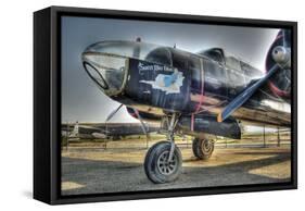 Plane-Robert Kaler-Framed Stretched Canvas