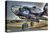 Plane-Robert Kaler-Stretched Canvas