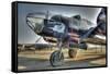 Plane-Robert Kaler-Framed Stretched Canvas