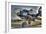 Plane-Robert Kaler-Framed Photographic Print