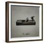 Plane-Kc Haxton-Framed Art Print