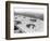 Planes on the Landing Strip at Le Bourget-null-Framed Photographic Print